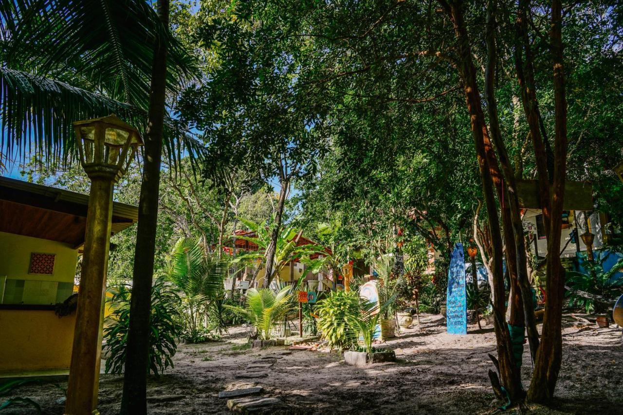 Macaco Surf Hostel Praia de Pipa Exterior photo
