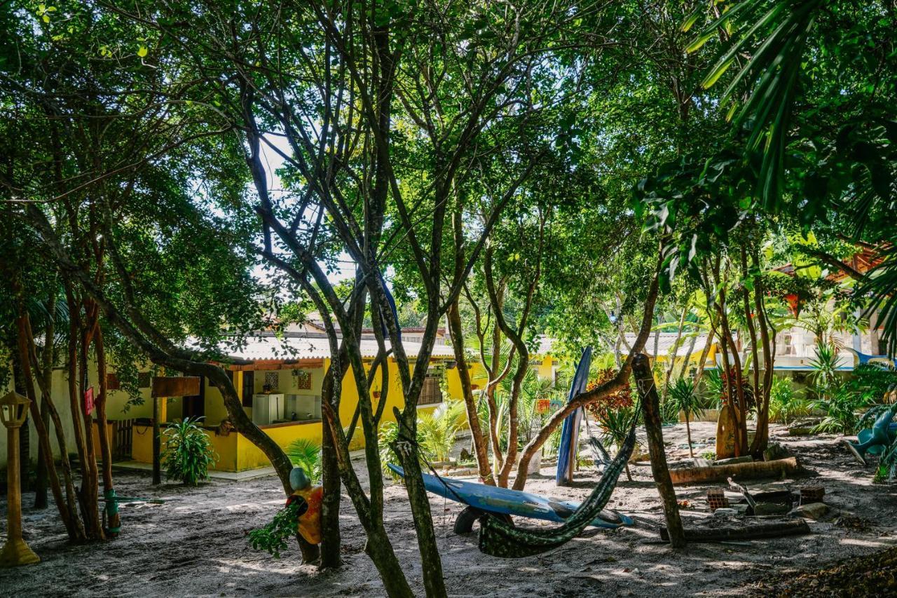 Macaco Surf Hostel Praia de Pipa Exterior photo